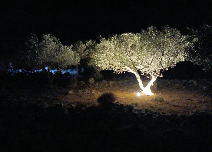Tatil Evi Petra & Elia Oítilon